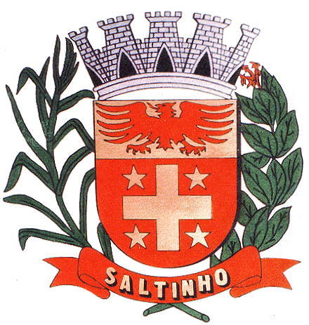 File:Brasão Saltinho.jpg