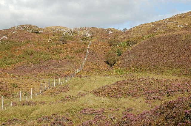 File:By Drum an Dubh Leathaid - geograph.org.uk - 561060.jpg