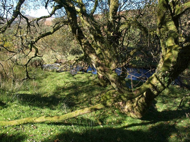 File:By Newleycombe Lake - geograph.org.uk - 2115815.jpg