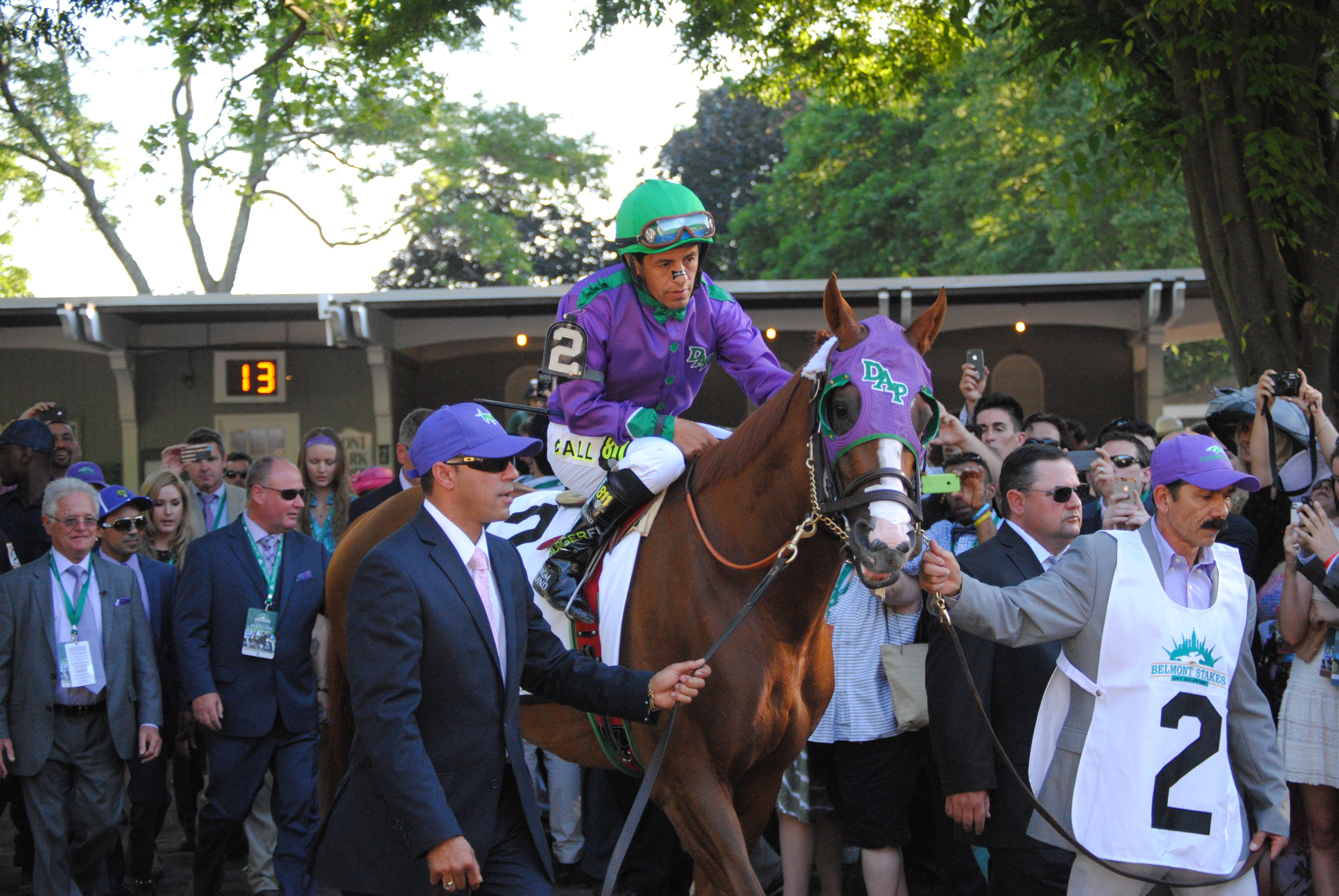 California Chrome Pedigree Chart