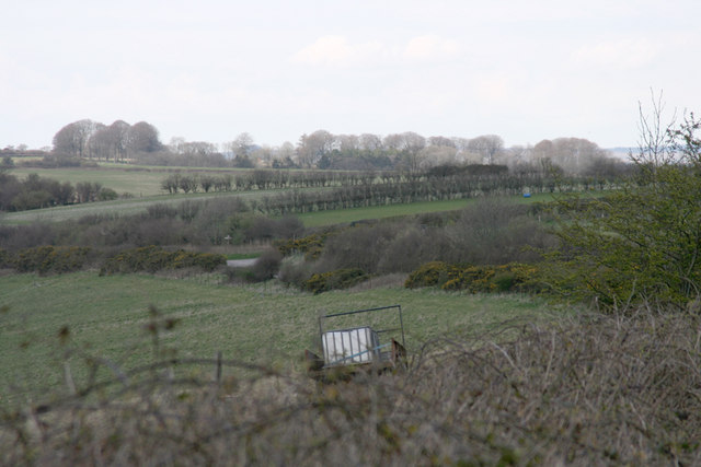 File:Chilcombe Down - geograph.org.uk - 381682.jpg