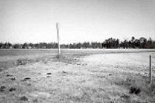 Coker Experimental Farm (Darlington County, South Carolina).jpg