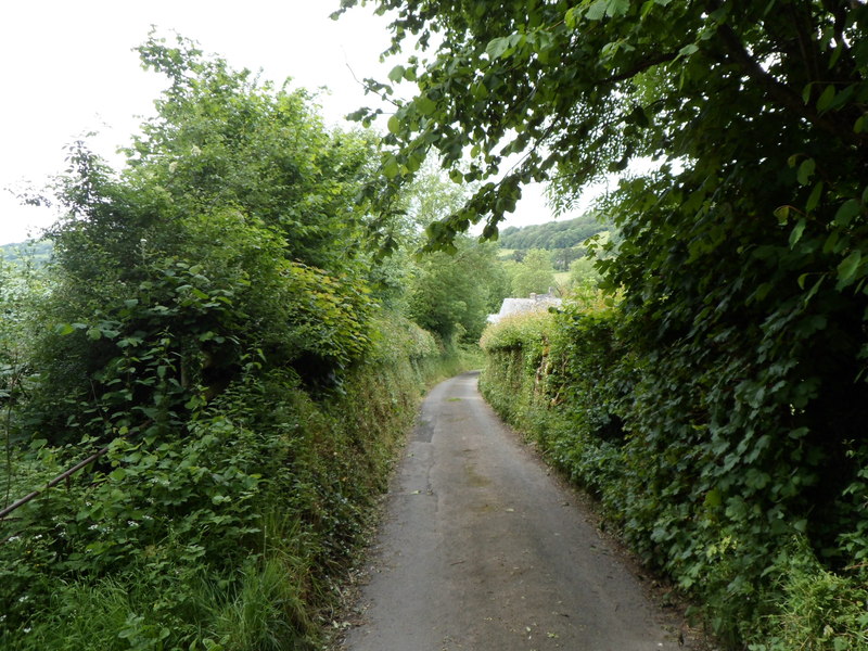 File:Cyffreddyn Lane towards Aberhowy Farm - geograph.org.uk - 4257110.jpg