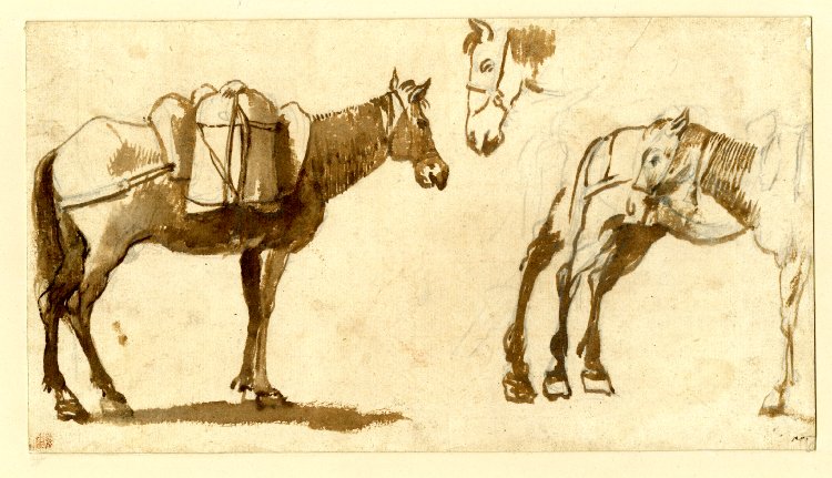 File:Drawing of mules by Claude Lorrain.jpg