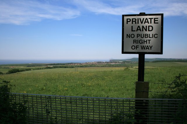 East End of Errington Woods - geograph.org.uk - 469255