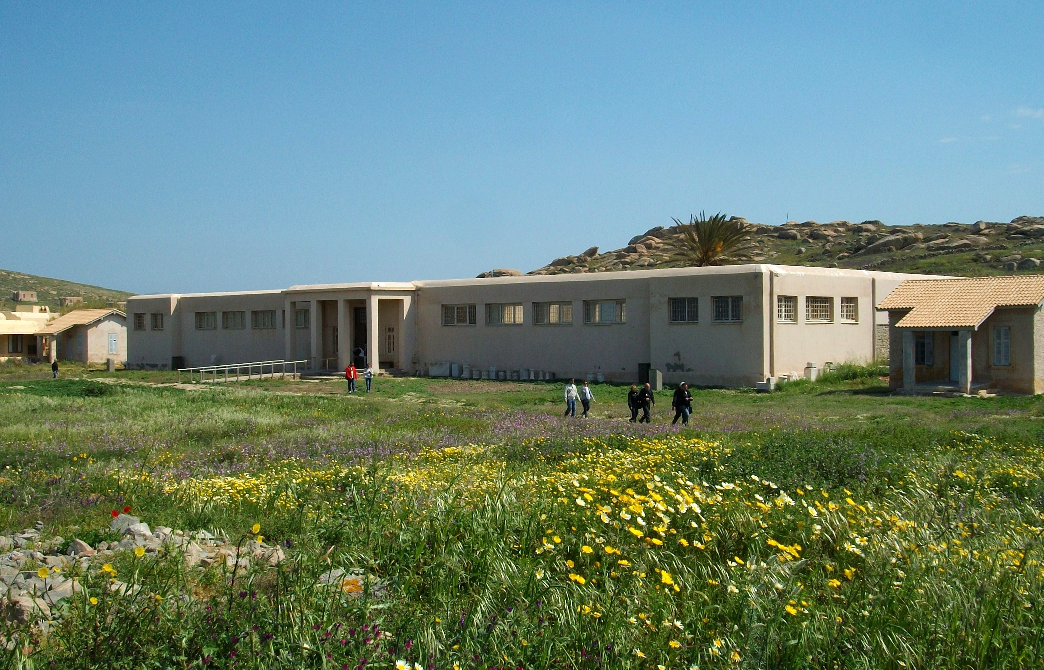 Archaeological Museum of Delos Wikipedia