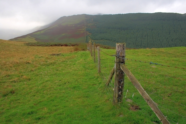 File:Fence Corner, Kinn - geograph.org.uk - 962777.jpg