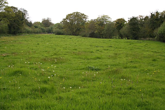 File:Flood Plain of the River Seaton - geograph.org.uk - 171769.jpg