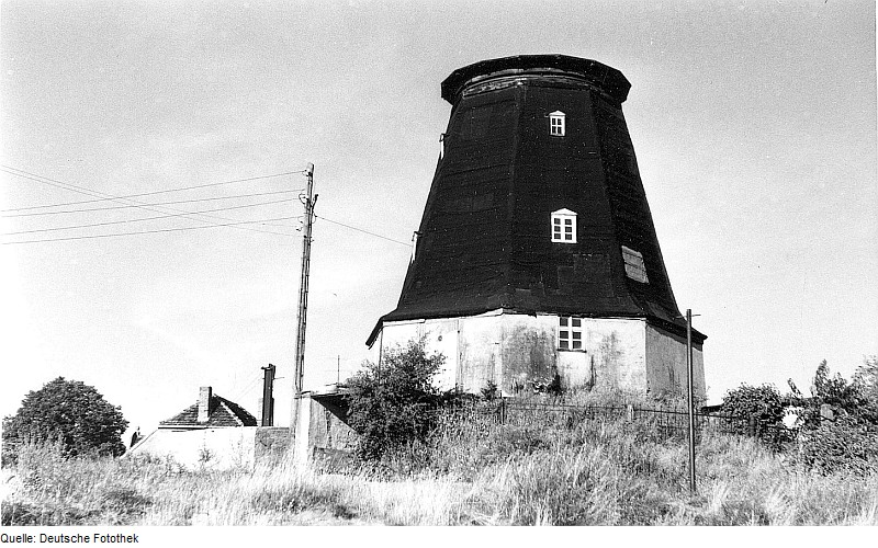 File:Fotothek df rp-a 0260054 Jerichow. Mühle Wiere, Holländermühle.jpg