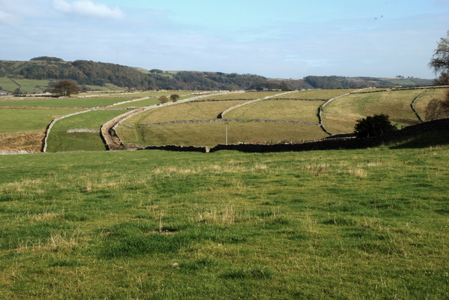 File:Grassland Linen Dale Derbyshire.jpg