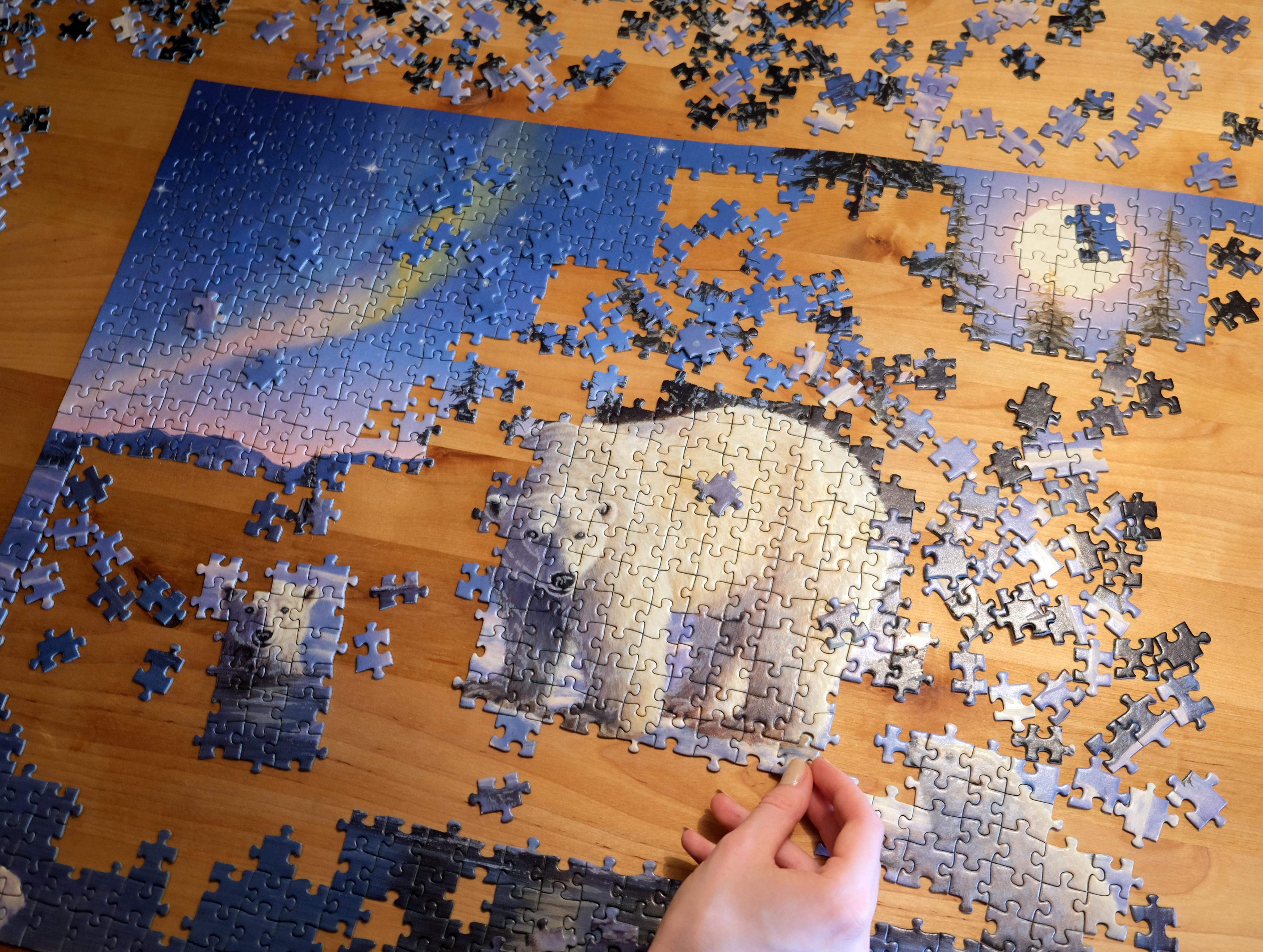 Jigsaw Puzzle