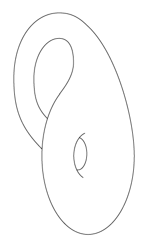 File:Klein bottle drawing.png