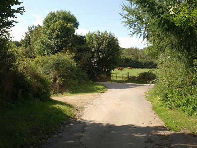 File:Lane junction, Weddicott - geograph.org.uk - 1468781.jpg