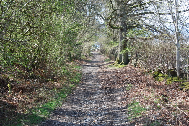 File:Llwybr Gogledd y Berwyn steadly climbing - geograph.org.uk - 1250994.jpg