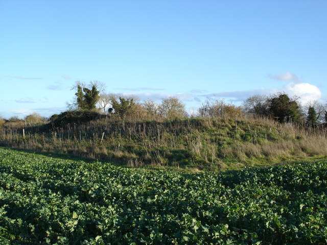 File:Long Barrow, near Chettle House - geograph.org.uk - 280588.jpg