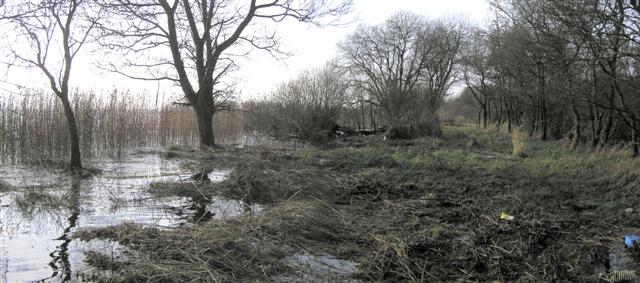 File:Lough Neagh - geograph.org.uk - 300679.jpg