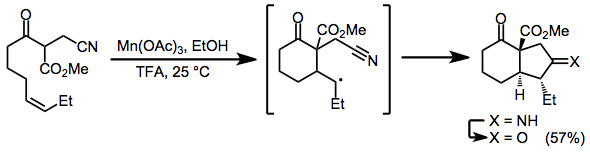 MnCoupleScope7.png