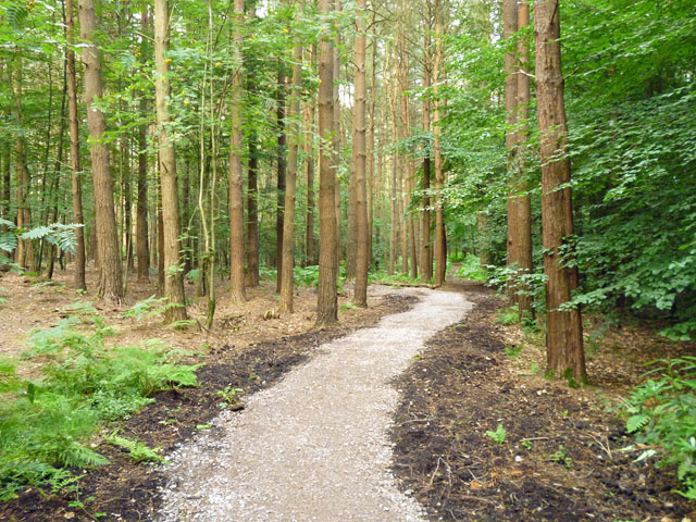 New path, Tilgate Park - geograph.org.uk - 3587644