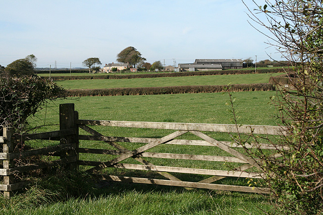 File:Newton St Petrock, towards Downmoor Cross - geograph.org.uk - 590963.jpg