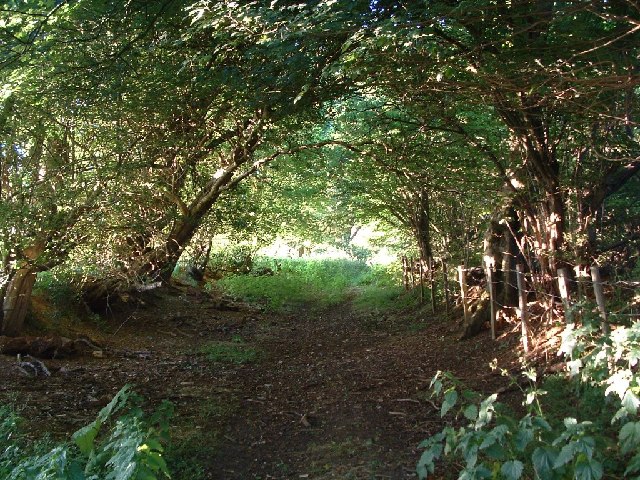 File:Old road from Lower Arpinge to Paddlesworth - geograph.org.uk - 25853.jpg