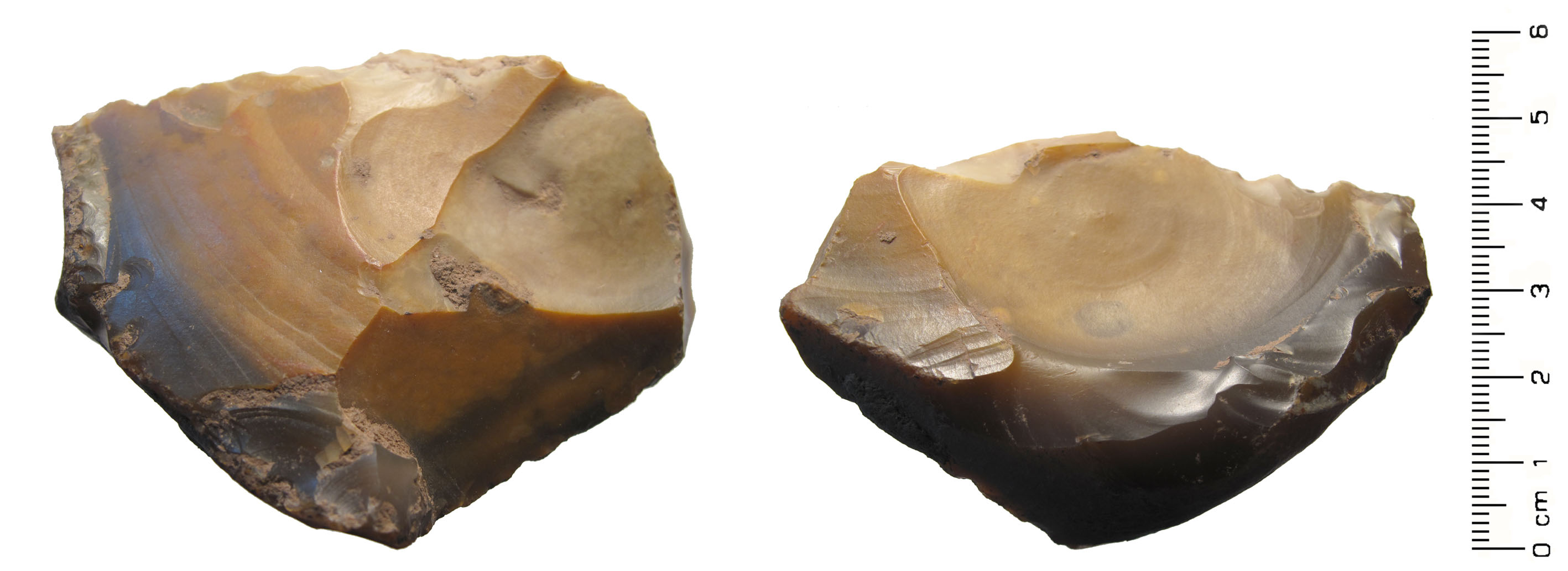 https://upload.wikimedia.org/wikipedia/commons/c/c4/Palaeolithic%2C_Flint_chopper_-_tool_%28FindID_400553-292111%29.jpg