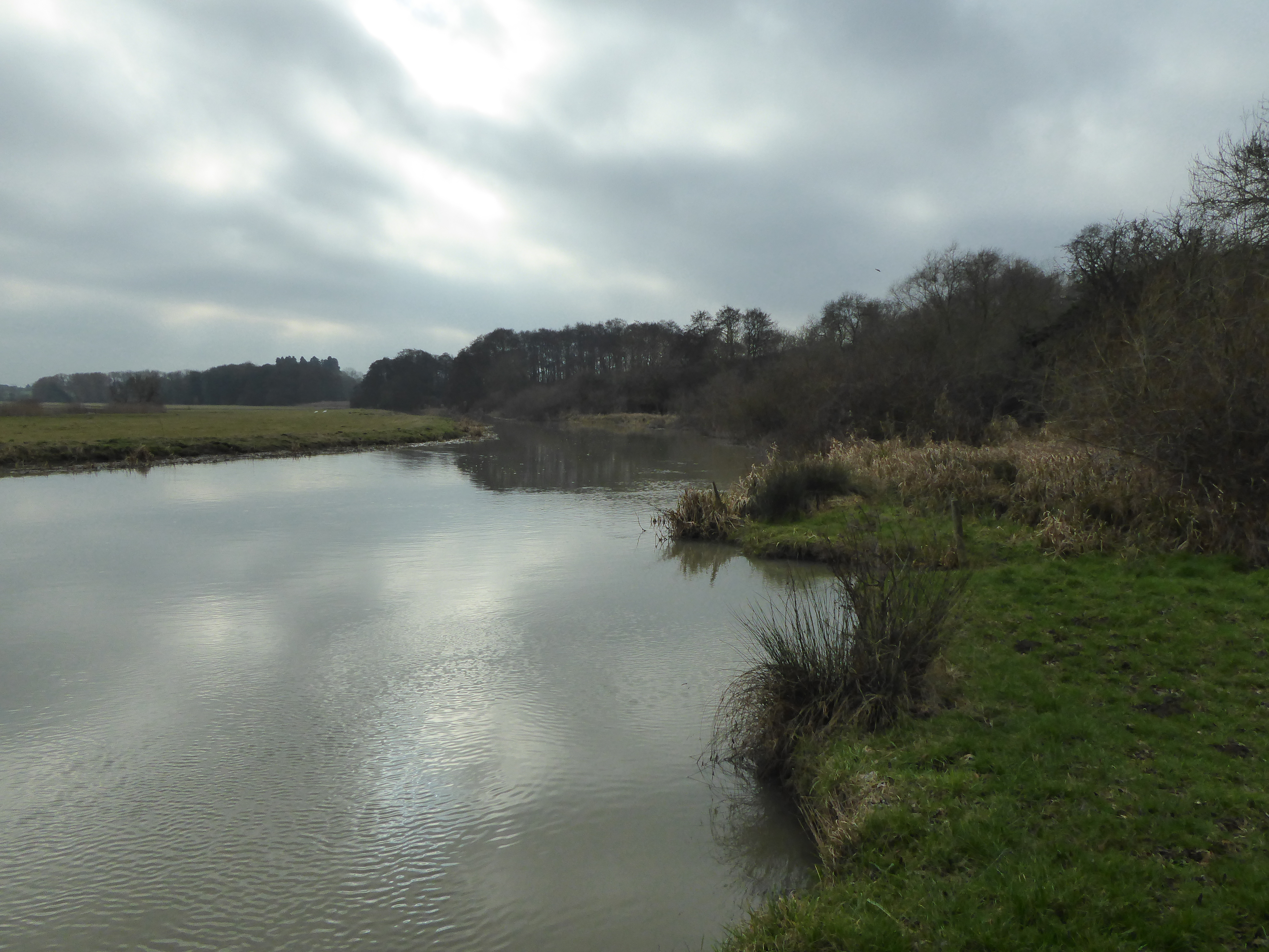 Wadenhoe Marsh and Achurch Meadow