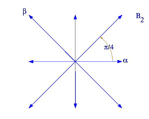 File:Root-system-B2.png