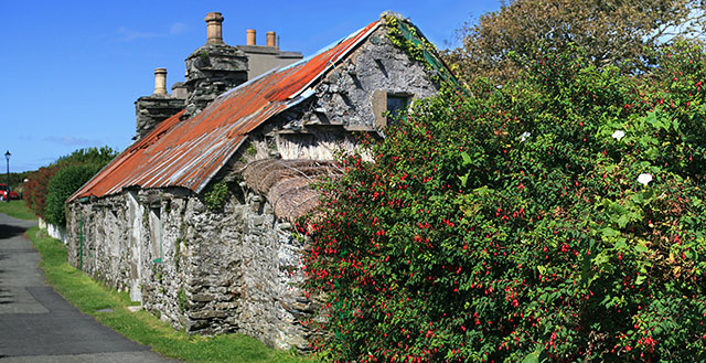 File:Rust Red and Fuchsia Red - geograph.org.uk - 1463678.jpg