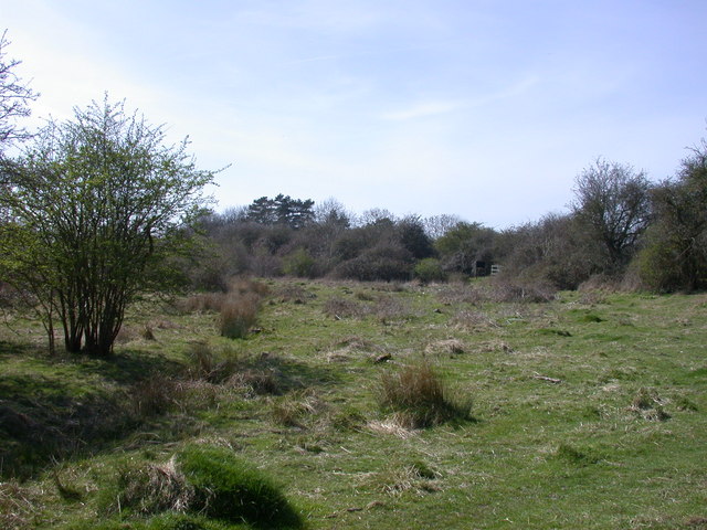 File:Shepreth L-Moor - geograph.org.uk - 390405.jpg