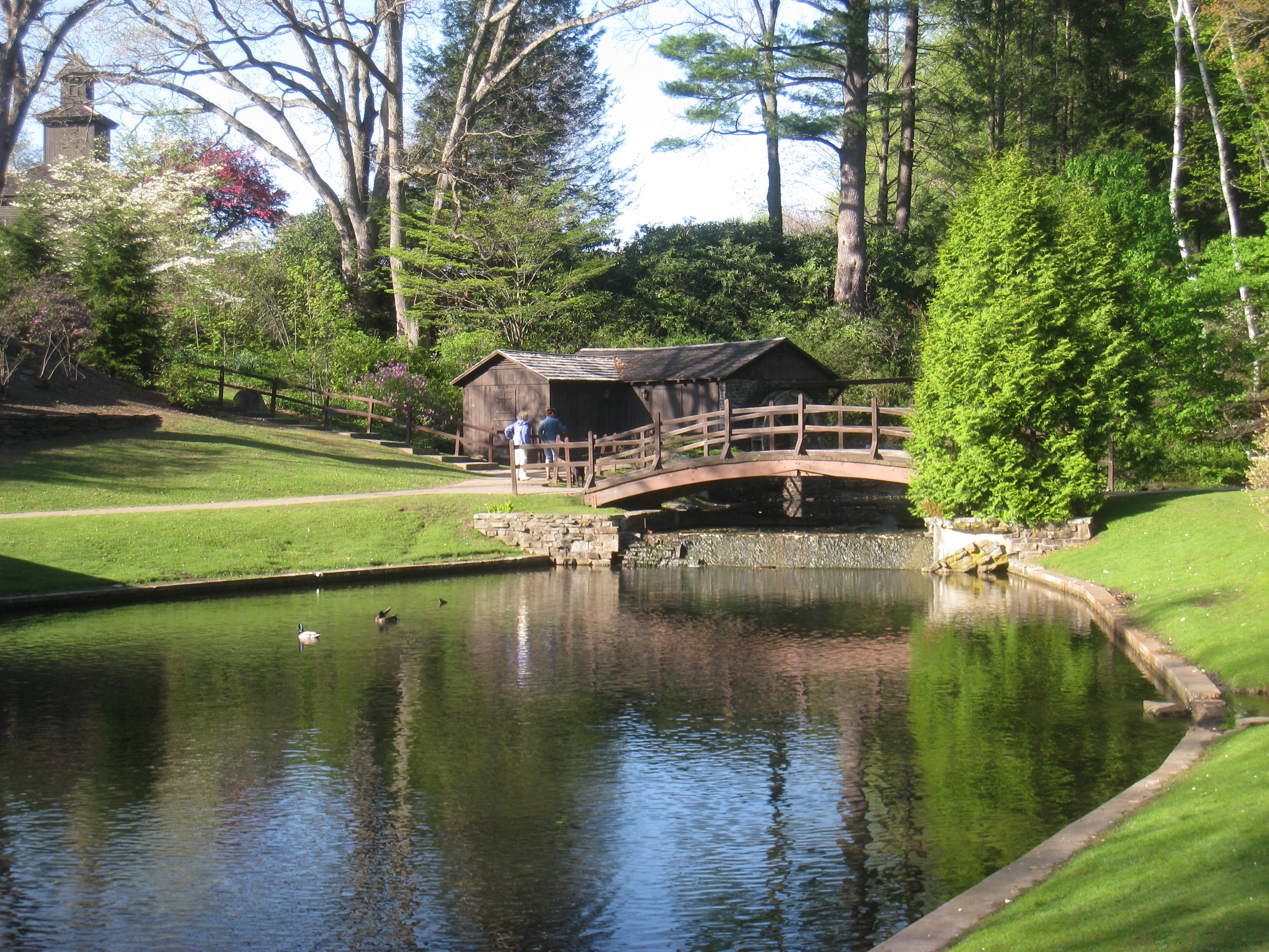 Photo of Stanley Park