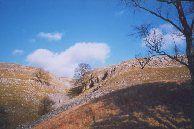 File:The Scar Gill - geograph.org.uk - 199132.jpg