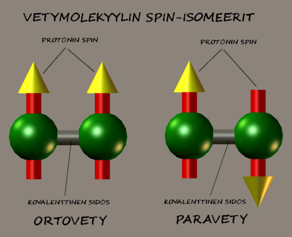 File:Vetymolekyylin spin-isomeerit.png