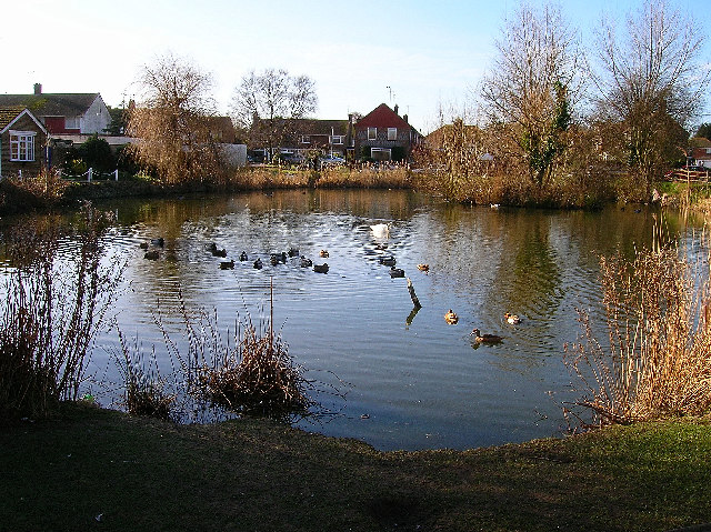 File:Village pond, Westham - geograph.org.uk - 109469.jpg