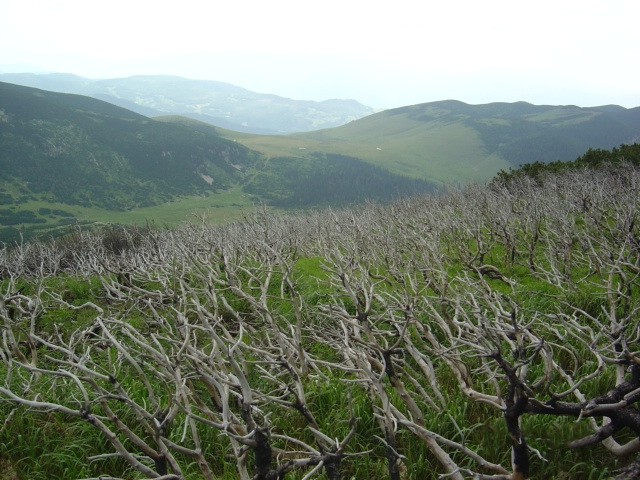 File:Vranica.JPG