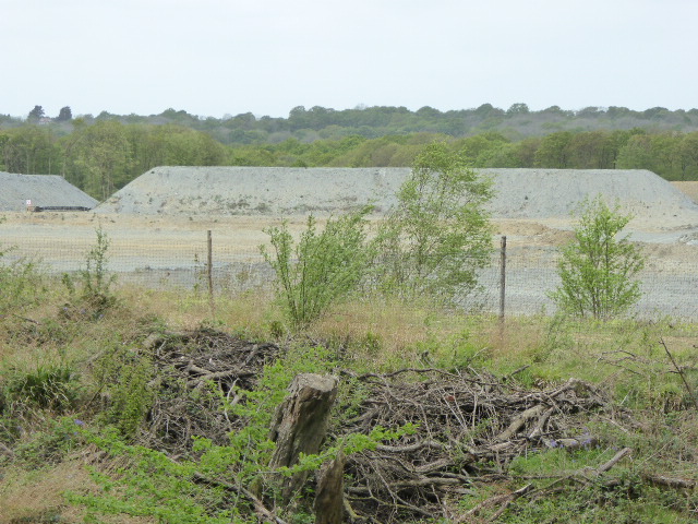 Warnham SSSI