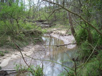 File:Wooded creek.jpg