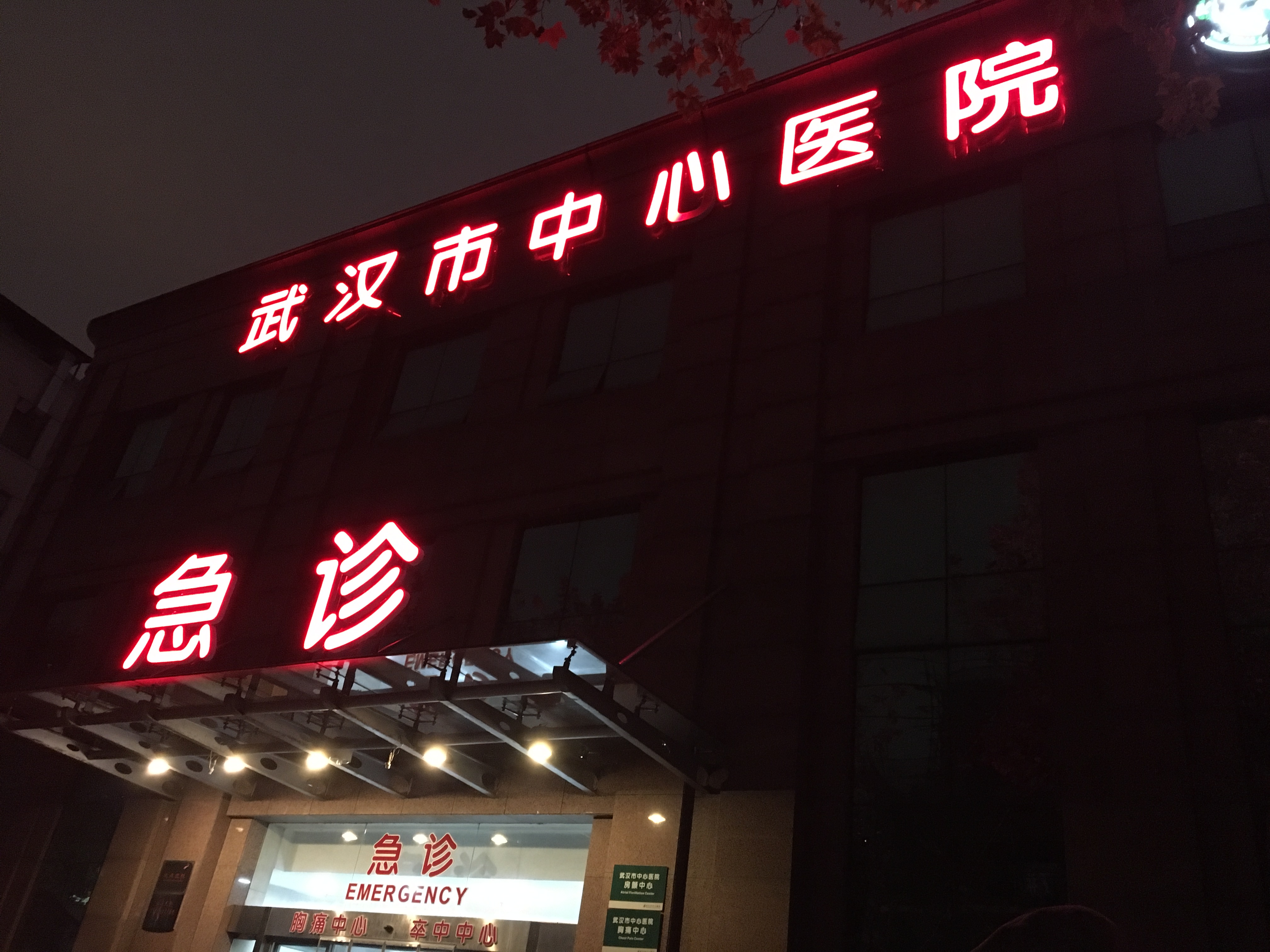 武汉市中心医院- 维基百科，自由的百科全书
