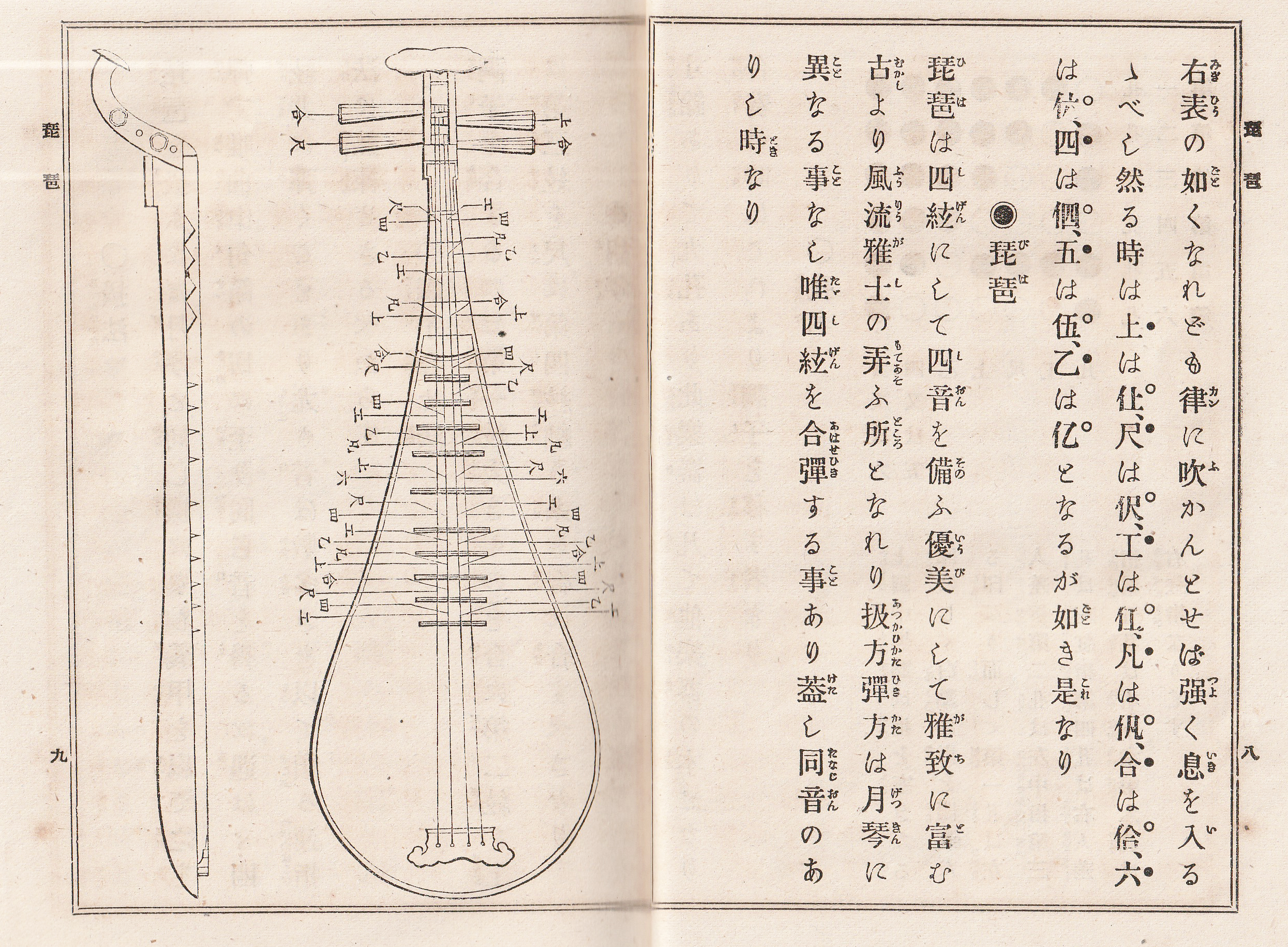 File:琵琶明清楽楽器1894 BIWA or PIPA musical instrument used in