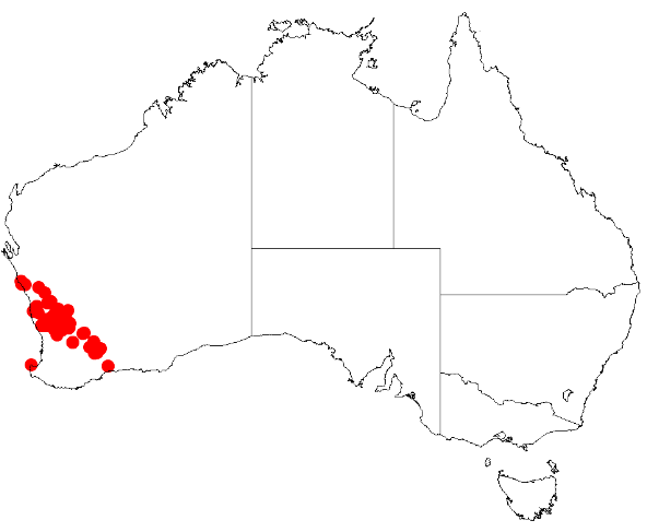 File:Acacia brumalisDistMap136.png