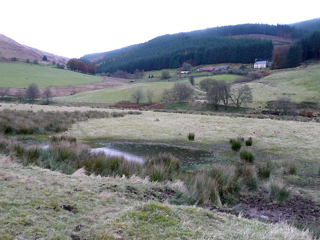 File:Across the Tywi Valley near Dolgoch Youth Hostel - geograph.org.uk - 1053566.jpg