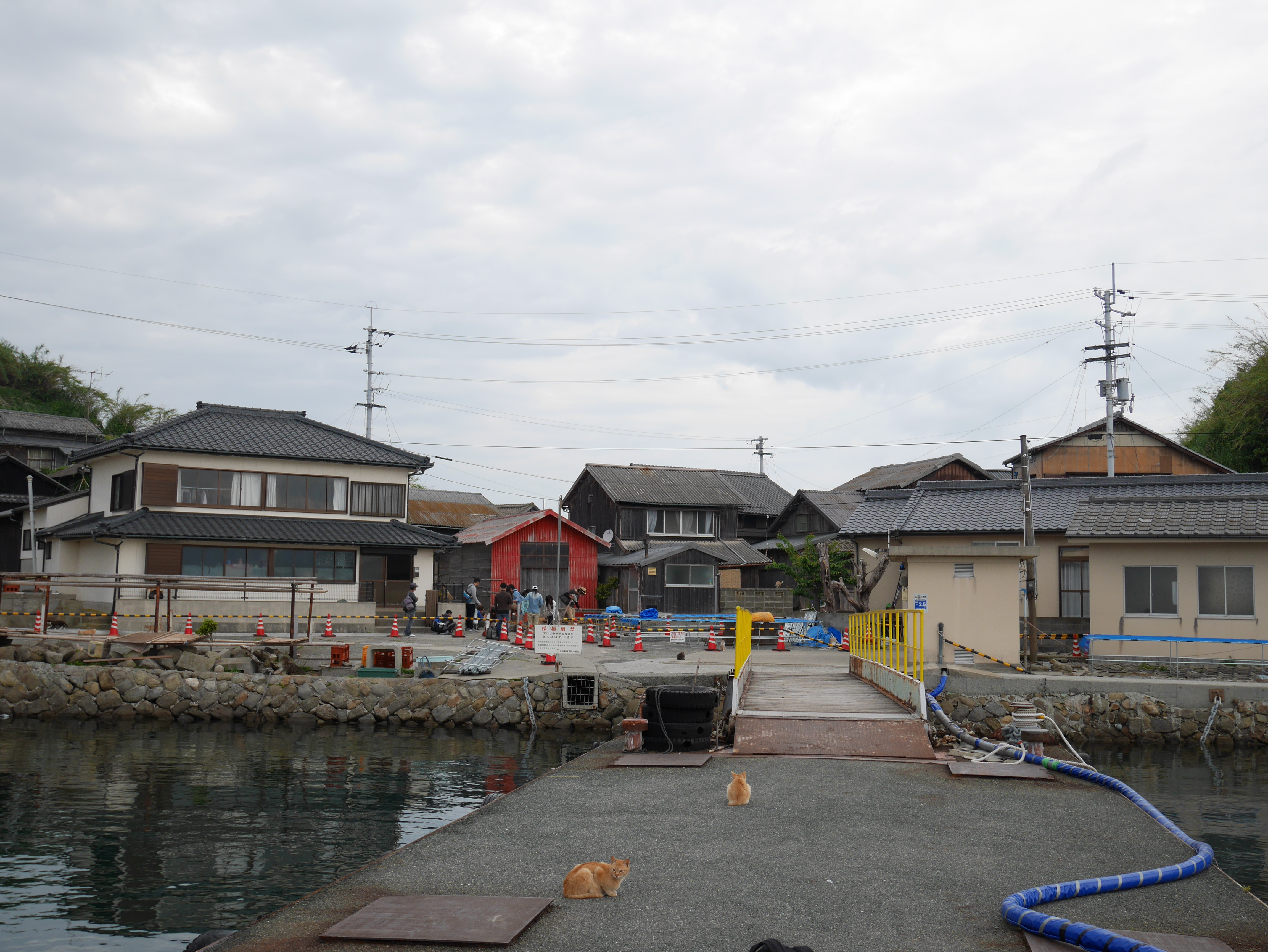 Aoshima, Ehime - Wikipedia
