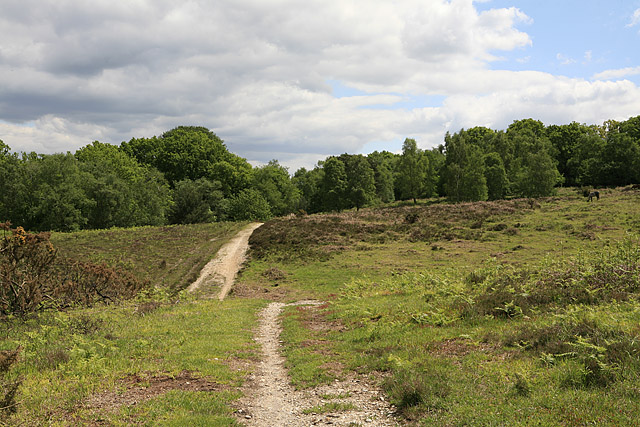 File:Approaching Picket Post on path from Linford - geograph.org.uk - 178647.jpg