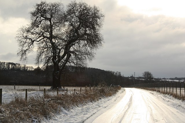 File:Belton Park - geograph.org.uk - 1624600.jpg