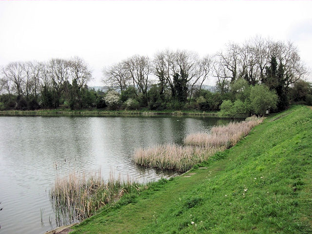 Fishing Bays along the Earth Dam, Weston Turville Reservoir - geograph.org.uk - 1259461