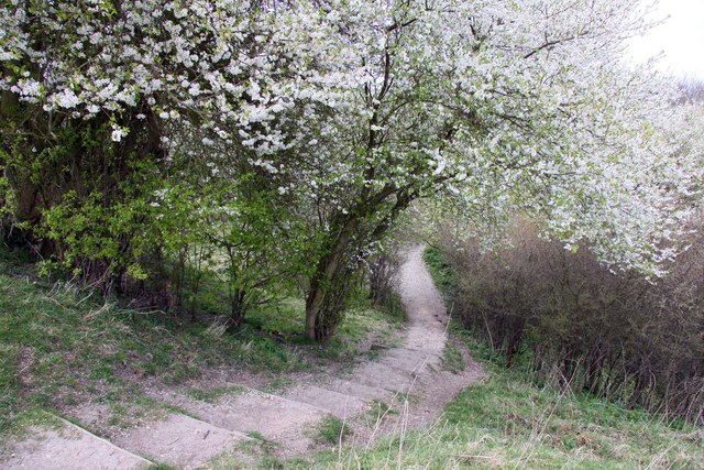 File:Footpath into the defensive ditch - geograph.org.uk - 1242135.jpg