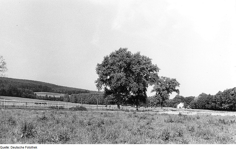 File:Fotothek df rp-d 0520042 Hochkirch-Lehn. Ehem. Mühle, Blick in Richtung Mühle.jpg