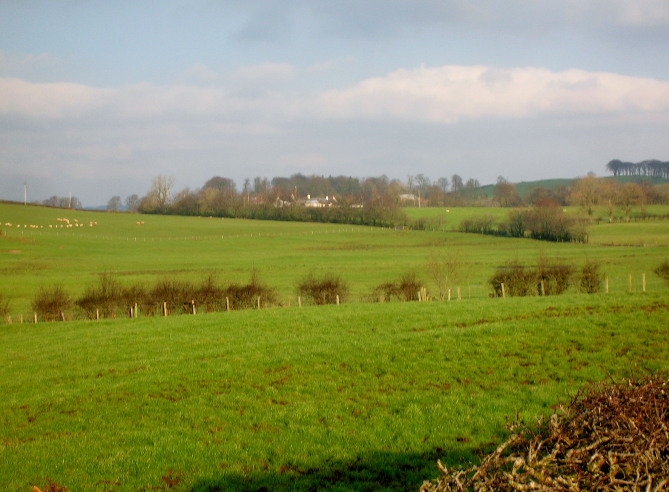 Whitehill Loch