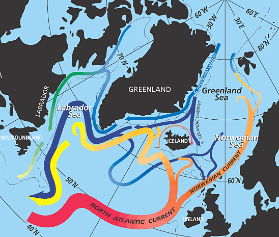 Морское течение гольфстрим