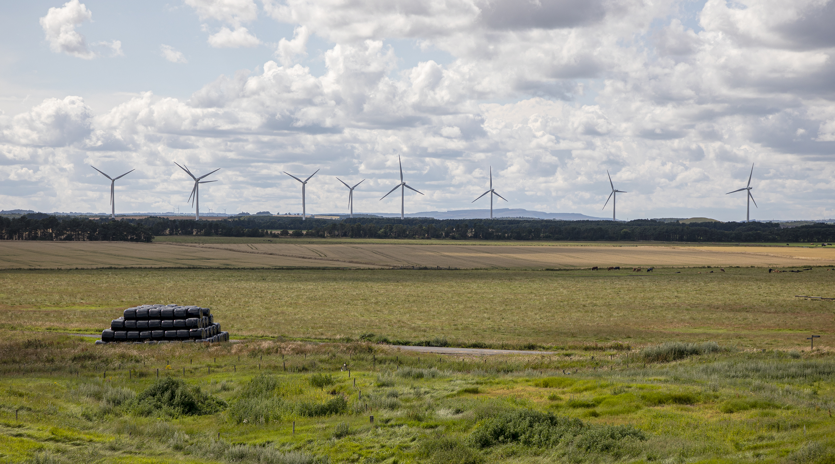 North Steads Wind Farm