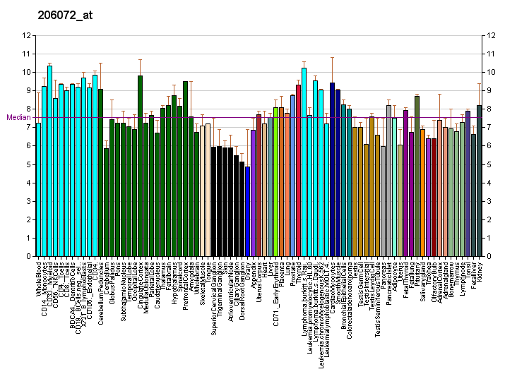 File:PBB GE MPV17 206072 at fs.png